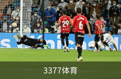 关于3377体育